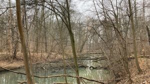 Blick auf den Elstermühlgraben